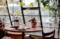 Điều thú vị trong giọt đắng